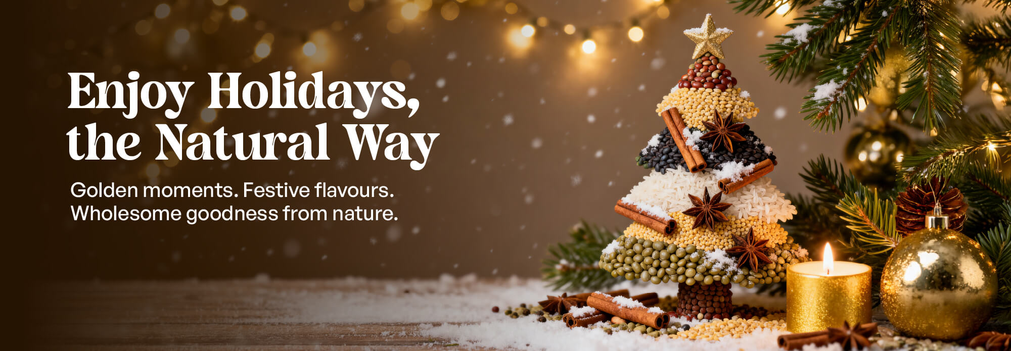 Vedija International_Landing Page_Christmas