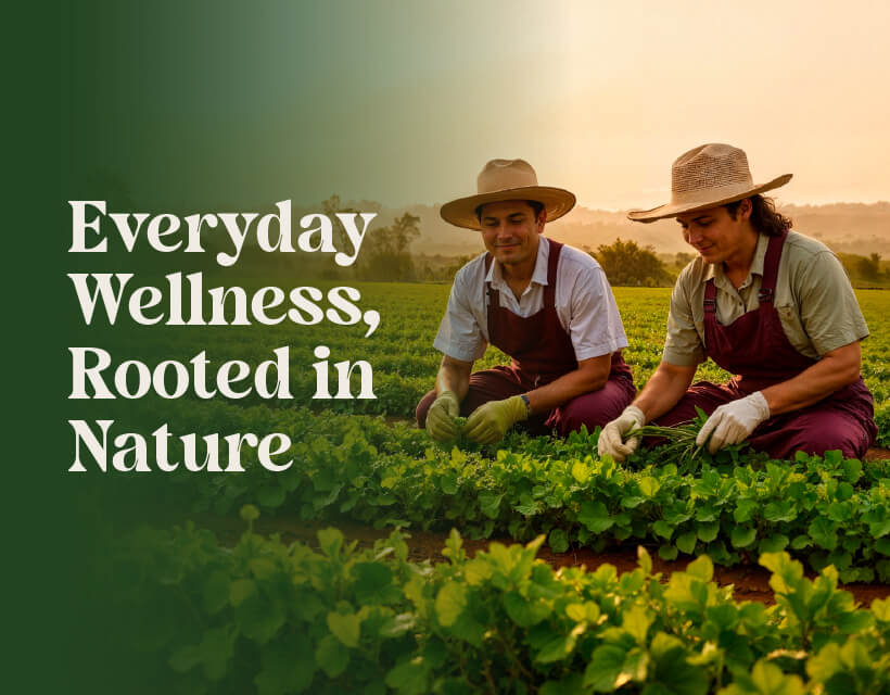 Vedija International_Mobile Landing Page_Homepage banner